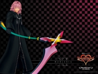 Kingdom Hearts Days 11